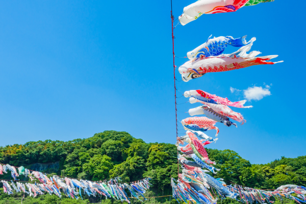 鯉のぼり イベント 寄付